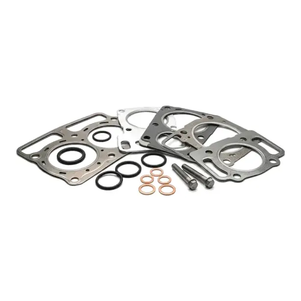 Gasket kit