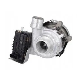 Turbo Garrett 765313-5002S
