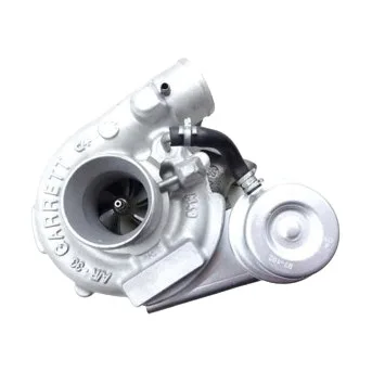 Turbo Garrett 700999-0001