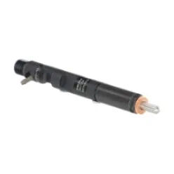 Injecteur DELPHI R05601D