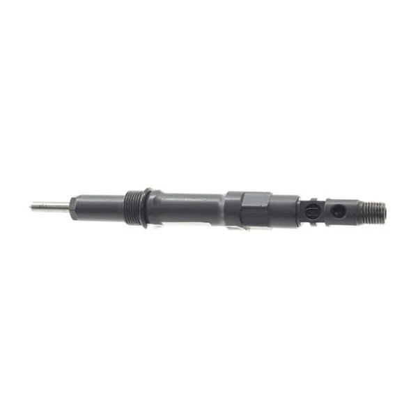 Einspritzdüse DELPHI R00202Z