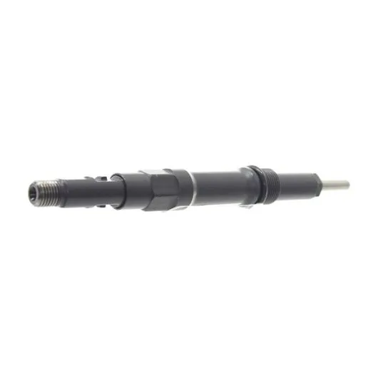 Einspritzdüse DELPHI R00202Z - 2