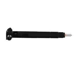 Injector DELPHI 28272472 - 2