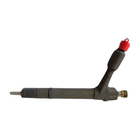 Injector DELPHI TJBB01901D - 2
