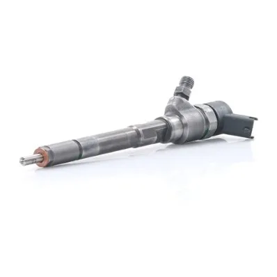 Injector Bosch 0445110245