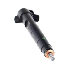 Injector DELPHI 6510703087